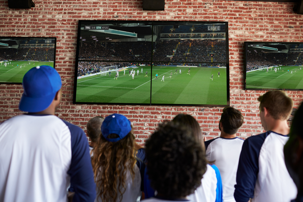 IPL Cricket ID Provider in India